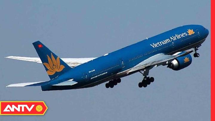 Bonobo: Nguồn Gốc Tiến Hóa Của Ngôn Ngữ Con Người?