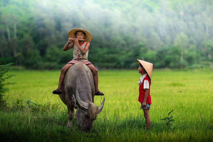 Hotspot Matrix và Niềng răng đẹp tự tin tại Nha Khoa Kim