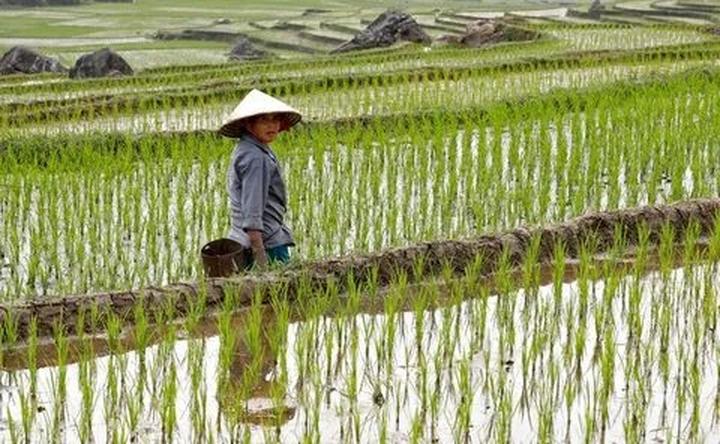 Chấm điểm loạt “green flags” - Cảm hứng video marketing từ Hotspot Matrix