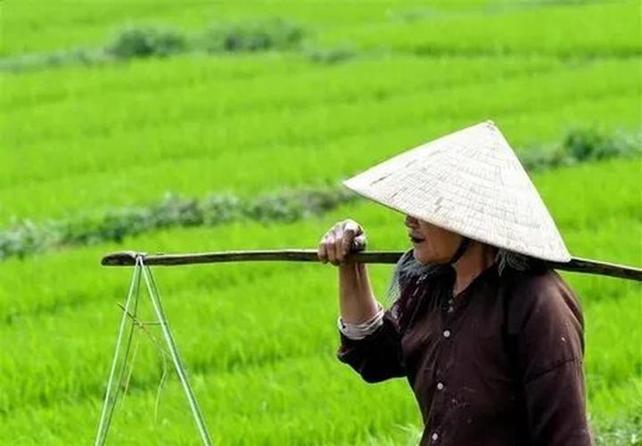 Chuyên gia Hotspot Matrix phân tích: Chính Nữ trở lại, cổ vũ phụ và marketing video