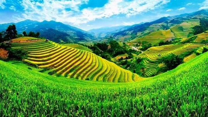 Từ 4 kiểu áo sơ mi dìm dáng, xỉn đến chiến lược content: Hotspot Matrix chia sẻ