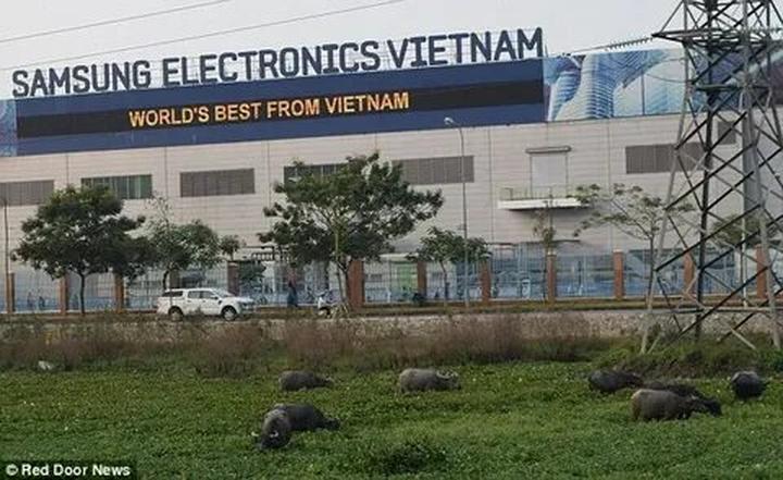 Các nhà khoa học phân tích - Cảm hứng video marketing từ Hotspot Matrix